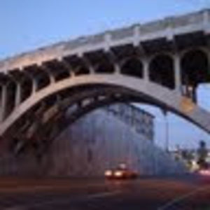 Meet your Posher, Ginger